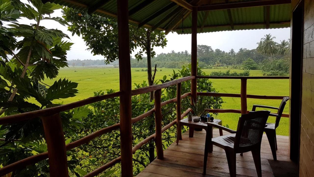 Lake Side View Cabana Tissamaharama Buitenkant foto